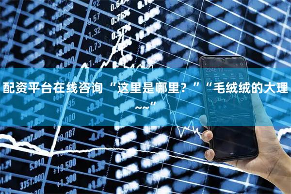 配资平台在线咨询 “这里是哪里?”“毛绒绒的大理~~”