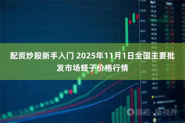 配资炒股新手入门 2025年11月1日全国主要批发市场蛏子价格行情
