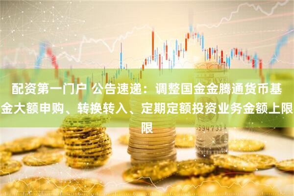 配资第一门户 公告速递：调整国金金腾通货币基金大额申购、转换转入、定期定额投资业务金额上限