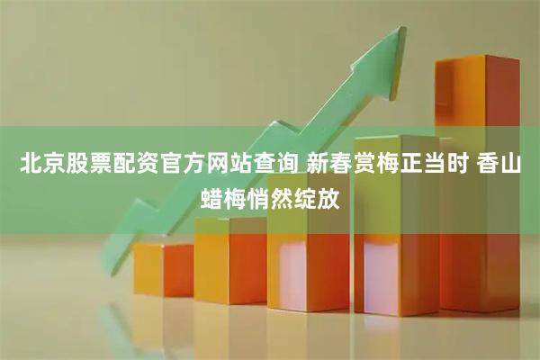 北京股票配资官方网站查询 新春赏梅正当时 香山蜡梅悄然绽放